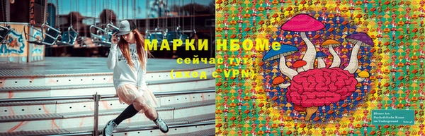 гидра Алексин