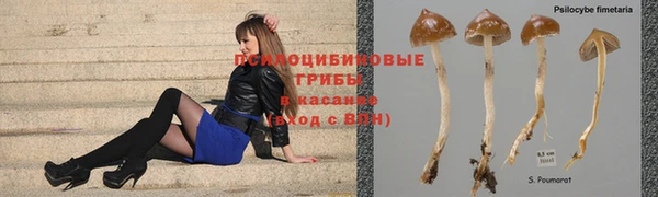 первитин Алексеевка