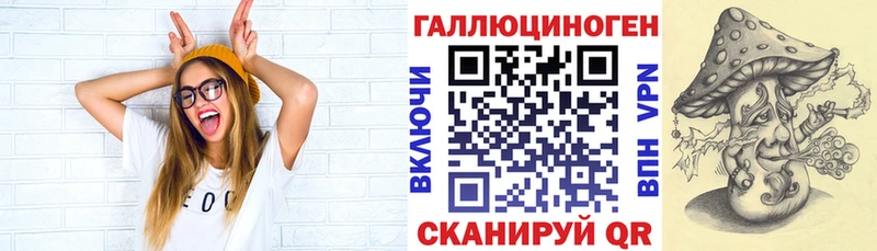 Псилоцибиновые грибы Cubensis  Андреаполь 