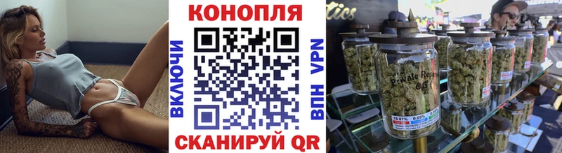 Конопля сатива  Андреаполь 